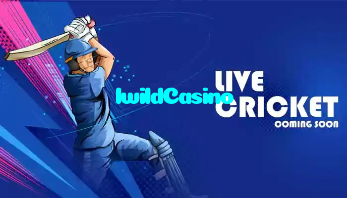 IwildCasino casino presented on mobile device in Pakistan with slots and live games